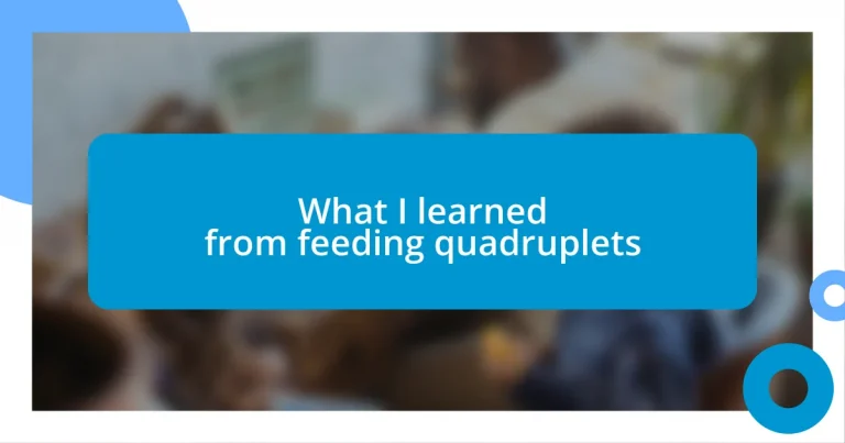 What I learned from feeding quadruplets